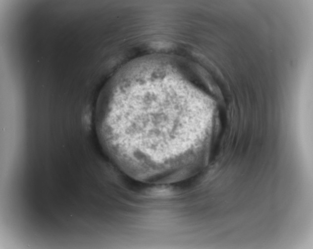 X0000103240668200809181545