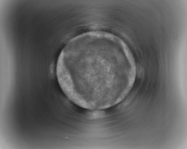 X0000103240670200809181545