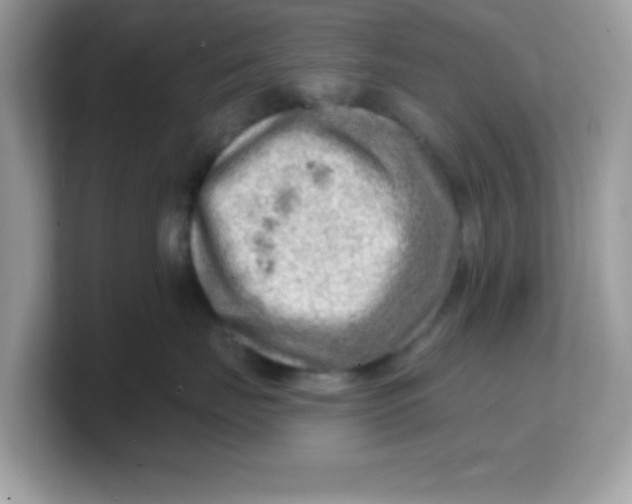 X0000103240671200809181545