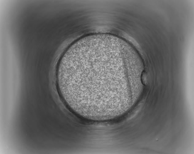 X0000103240673200809181544