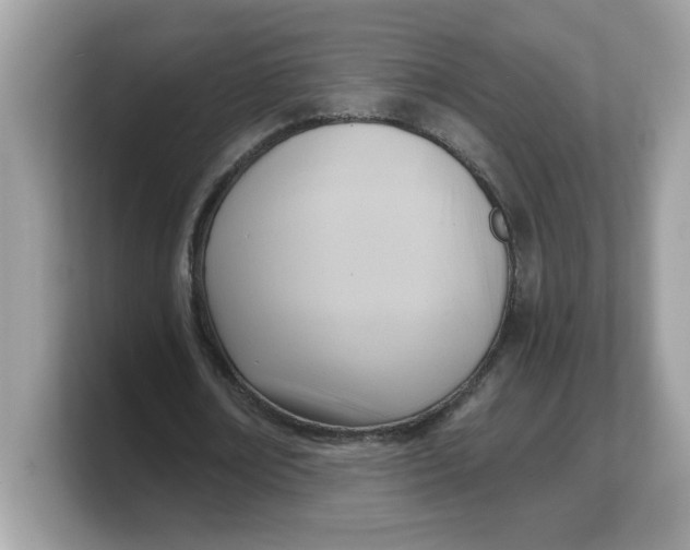 X0000103240674200809181544