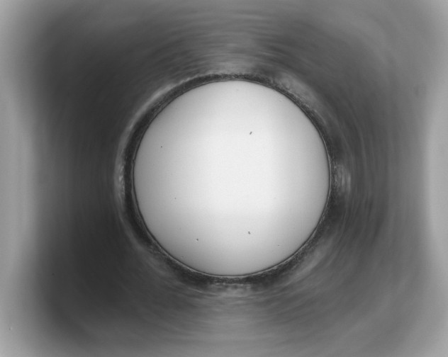 X0000103240676200809181544