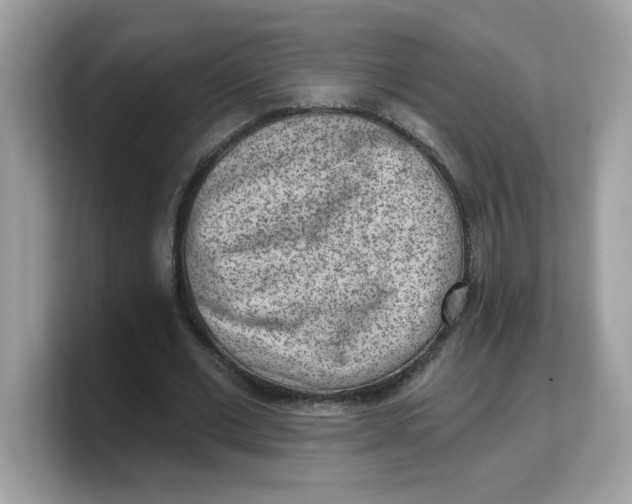 X0000103240677200809181544