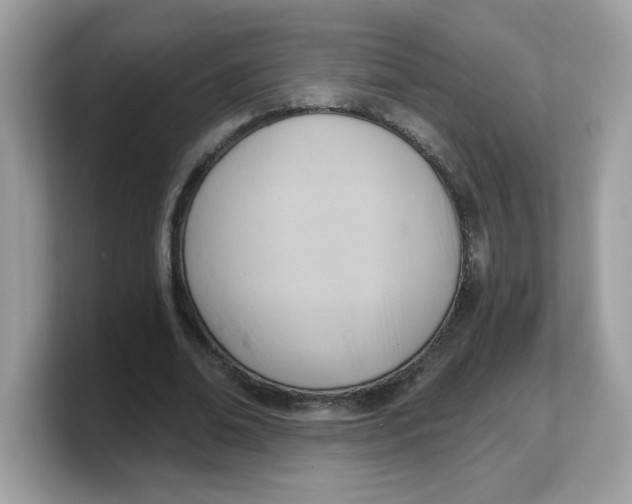 X0000103240678200809181544