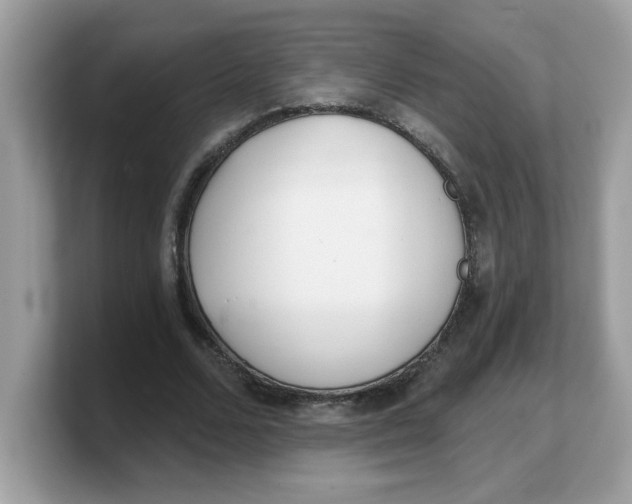 X0000103240680200809181544