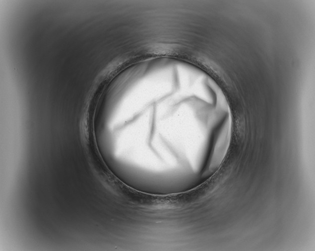 X0000103240682200809181544