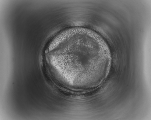 X0000103240683200809181544