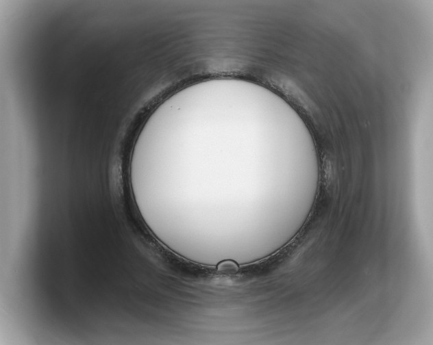 X0000103240684200809181544