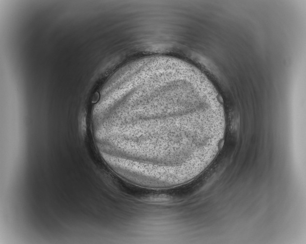 X0000103240685200809181544