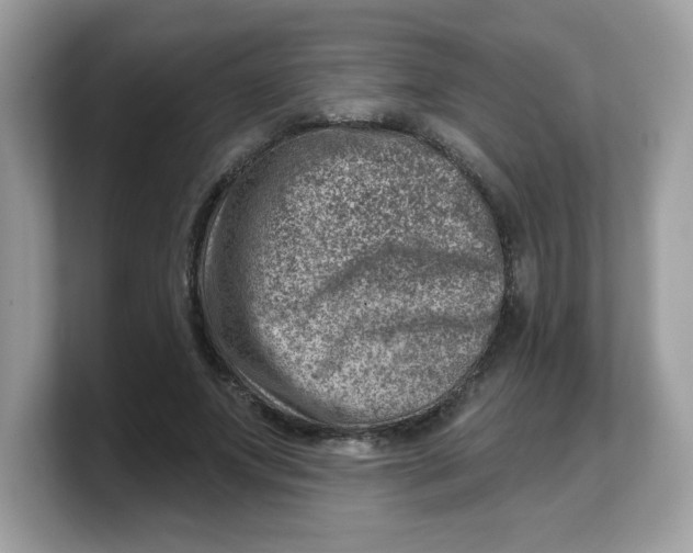 X0000103240687200809181544