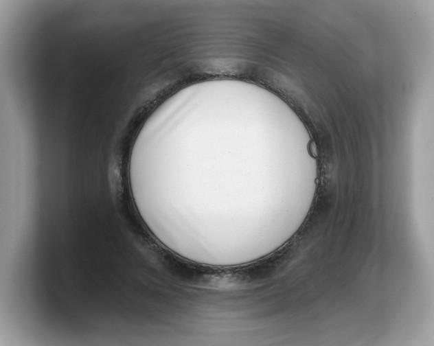 X0000103240688200809181544