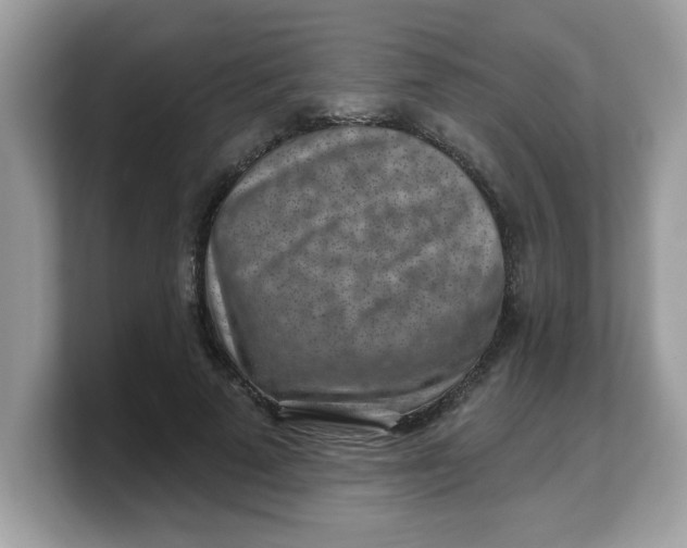 X0000103240689200809181544