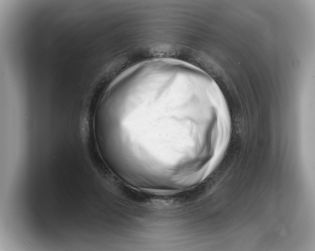 X0000103240690200809181544