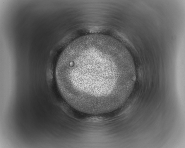 X0000103240691200809181544