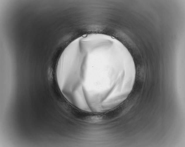 X0000103240692200809181544