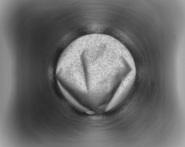 X0000103240693200809181544