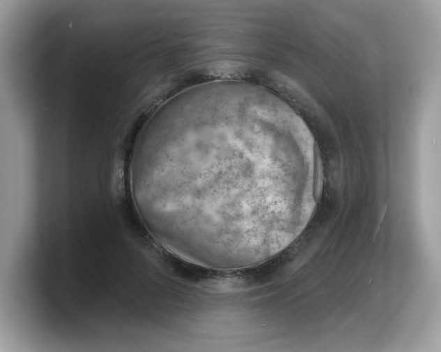 X0000103240696200809181544