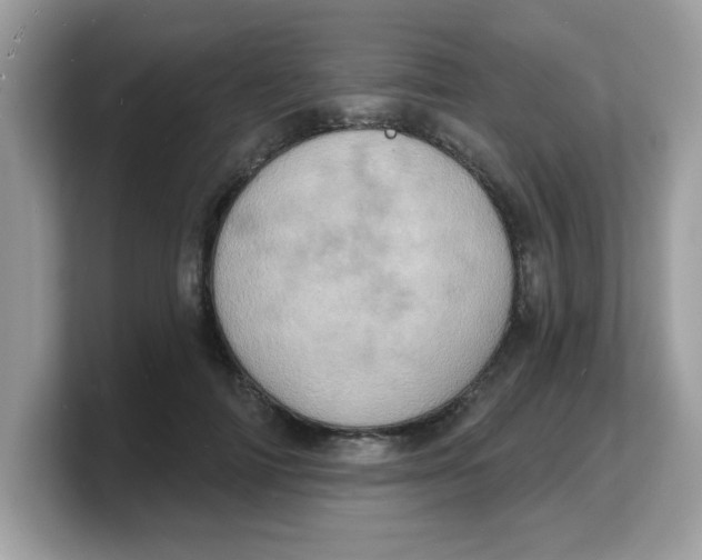 X0000103240698200809181544