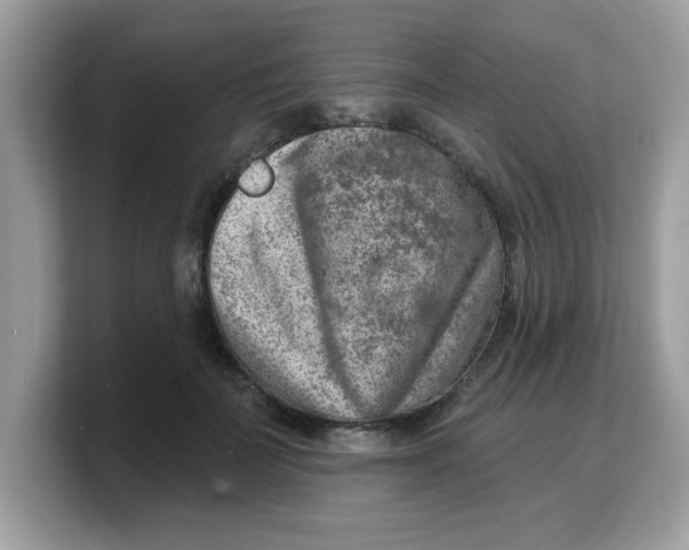 X0000103240699200809181544