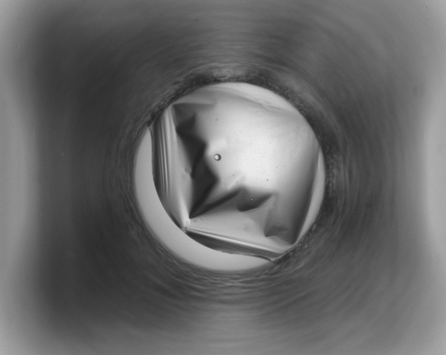 X0000103240700200809181544