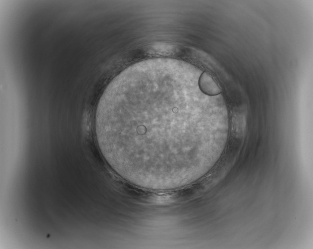 X0000103240701200809181544