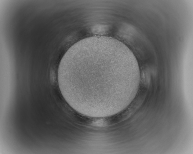 X0000103240705200809181544