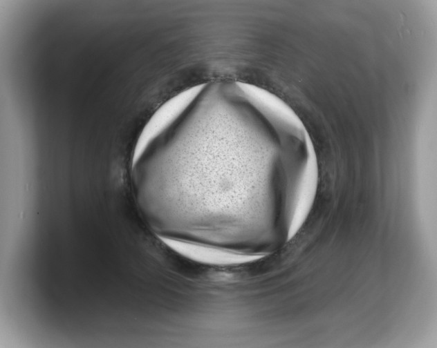 X0000103240706200809181544