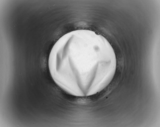 X0000103240708200809181544