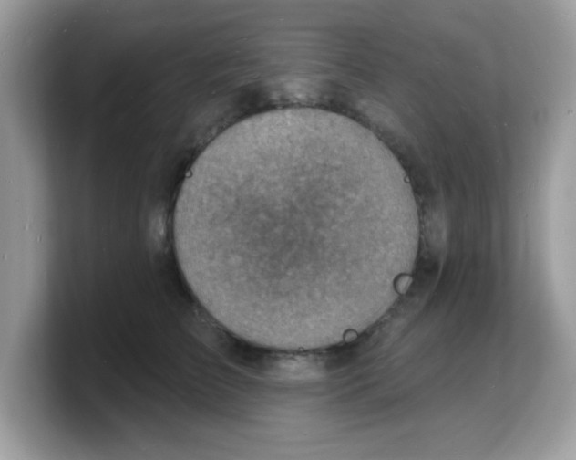 X0000103240709200809181544