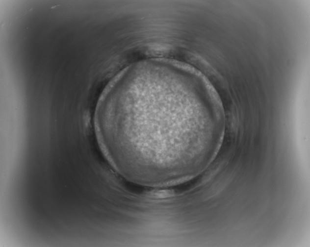 X0000103240711200809181544