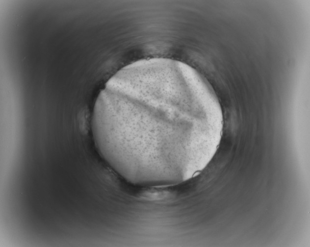 X0000103240712200809181544