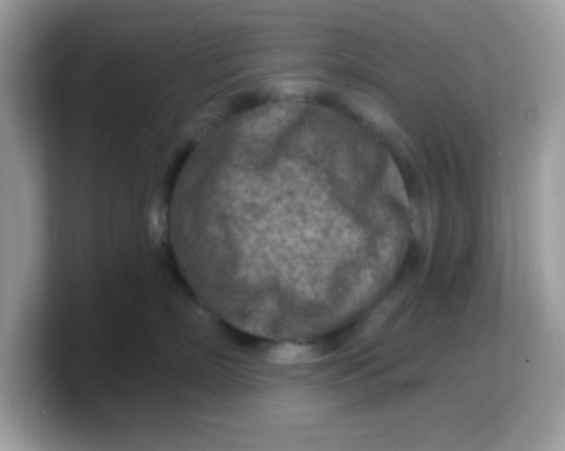 X0000103240718200809181544