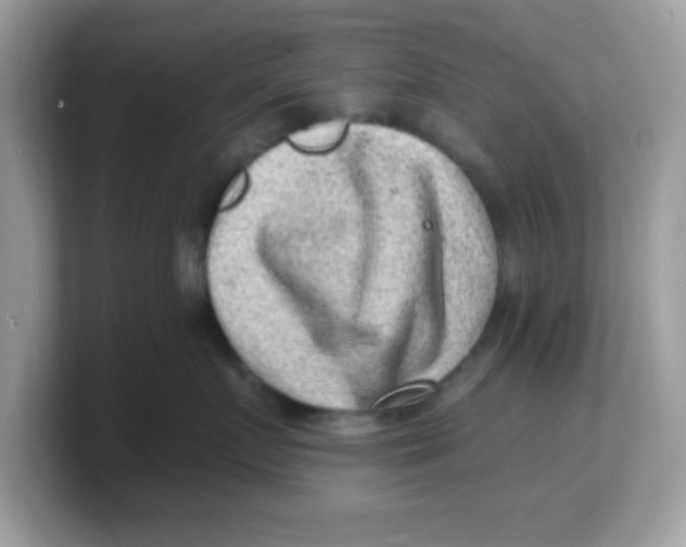 X0000103240719200809181544