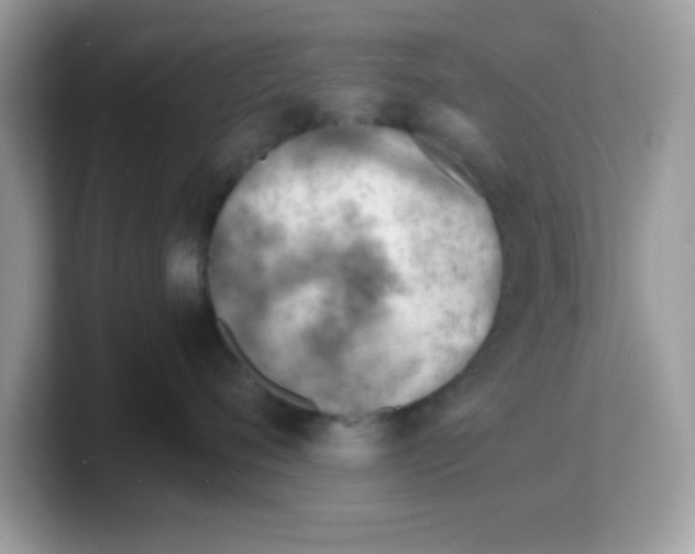 X0000103240720200809181544