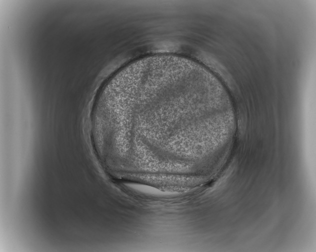 X0000103240721200809181543