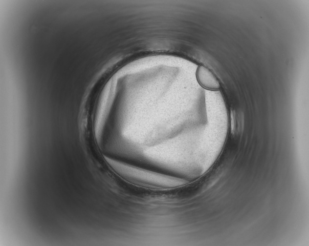 X0000103240723200809181543