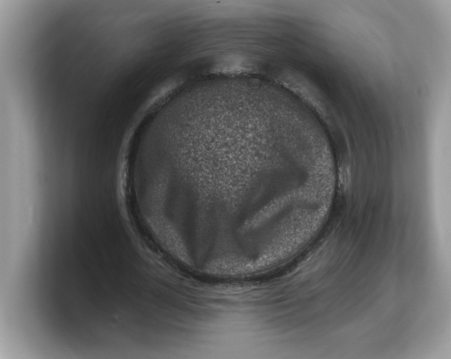 X0000103240724200809181543