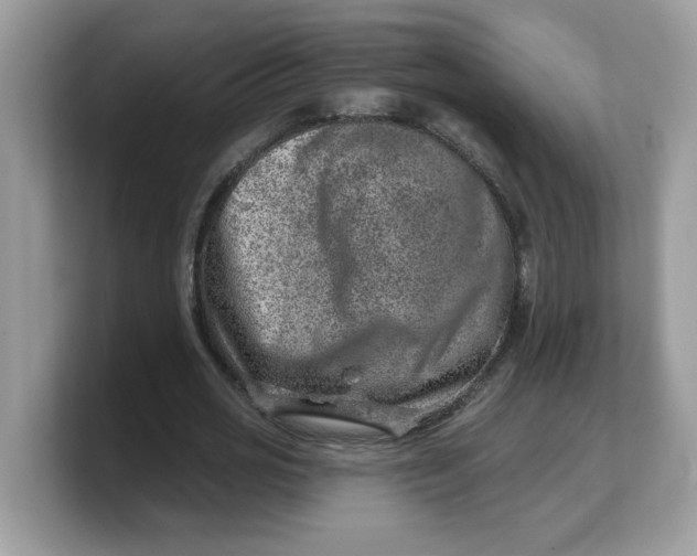 X0000103240725200809181543