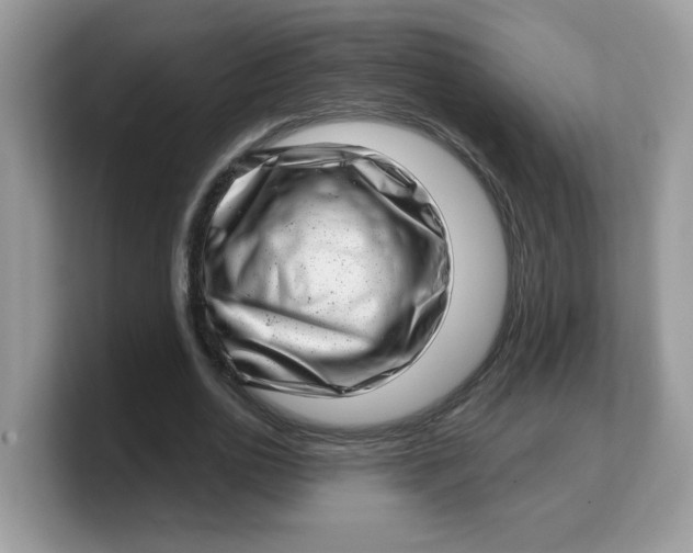 X0000103240726200809181543