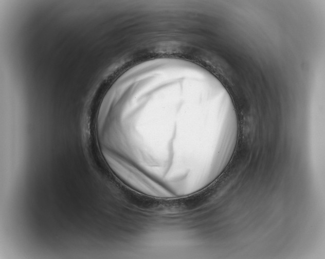 X0000103240727200809181543