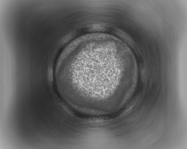 X0000103240729200809181543