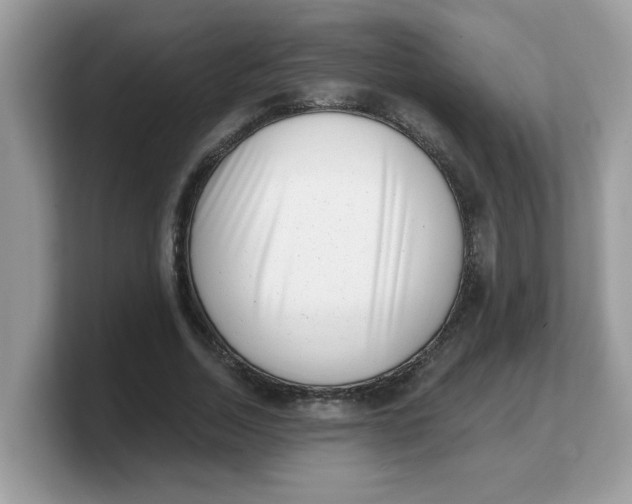 X0000103240730200809181543