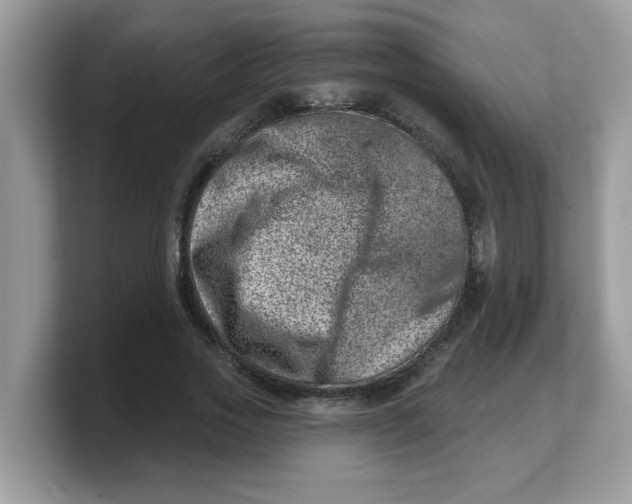 X0000103240733200809181543