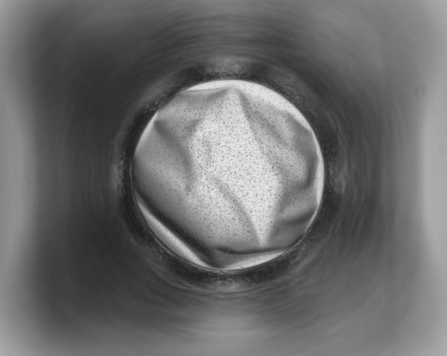 X0000103240735200809181543