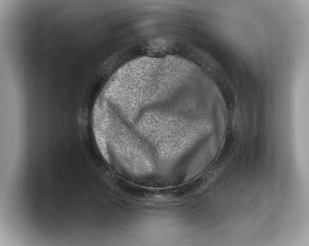 X0000103240737200809181543