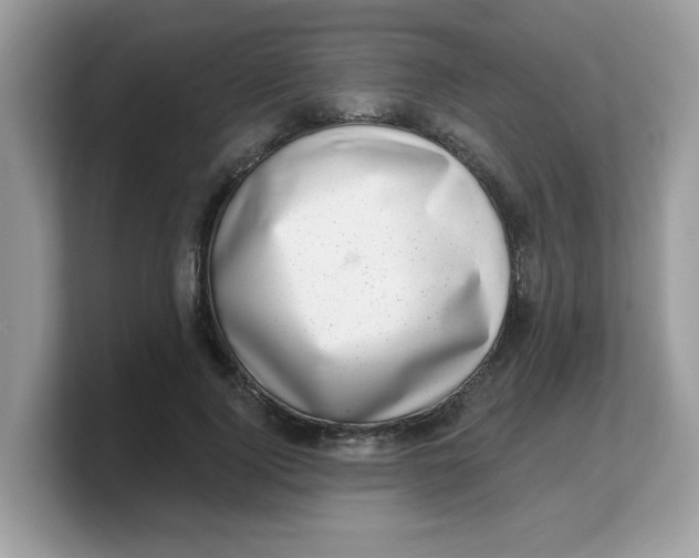 X0000103240740200809181543