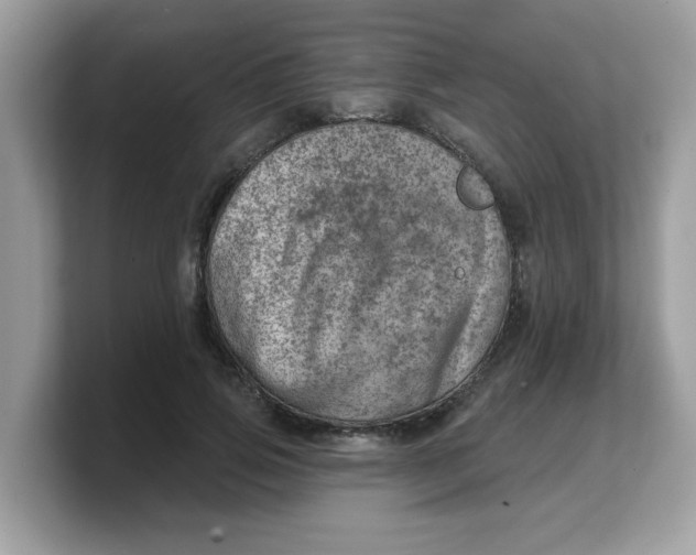 X0000103240741200809181543