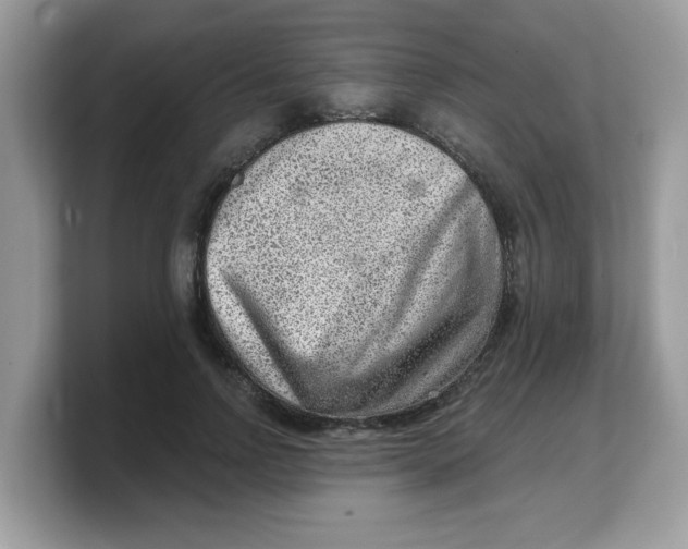 X0000103240742200809181543