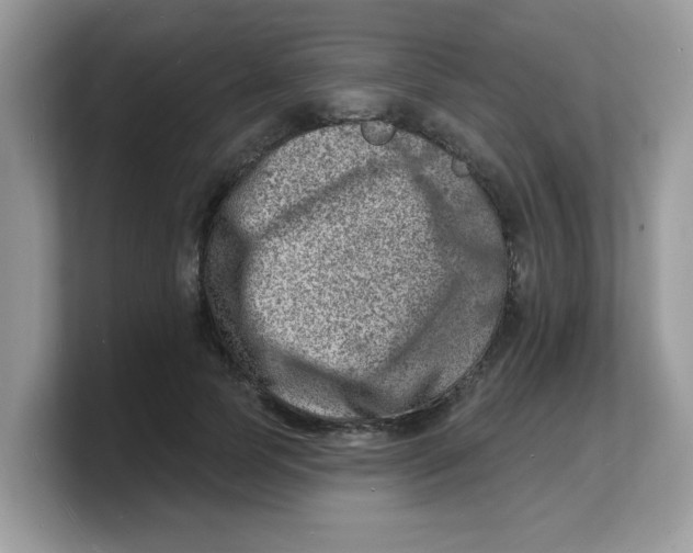 X0000103240745200809181543