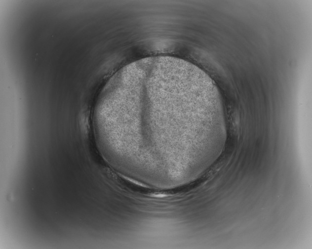 X0000103240746200809181543